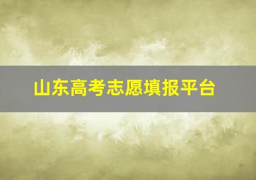 山东高考志愿填报平台