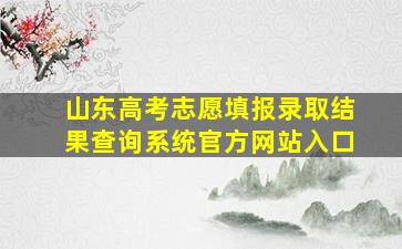 山东高考志愿填报录取结果查询系统官方网站入口