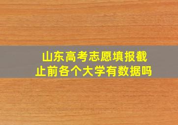 山东高考志愿填报截止前各个大学有数据吗