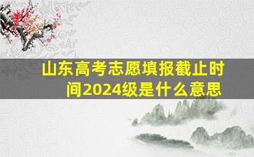 山东高考志愿填报截止时间2024级是什么意思