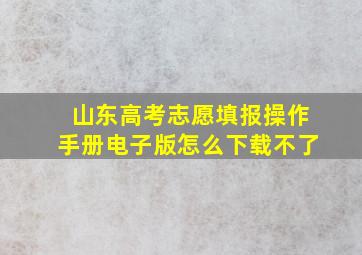 山东高考志愿填报操作手册电子版怎么下载不了