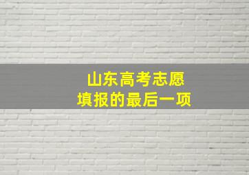 山东高考志愿填报的最后一项