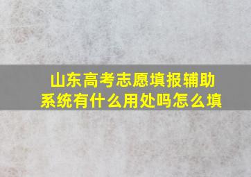 山东高考志愿填报辅助系统有什么用处吗怎么填