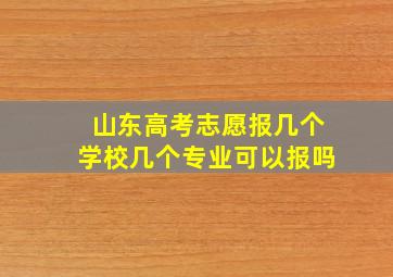 山东高考志愿报几个学校几个专业可以报吗