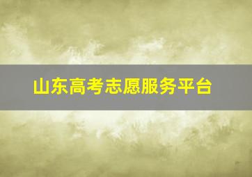 山东高考志愿服务平台