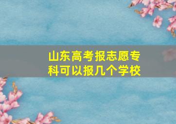 山东高考报志愿专科可以报几个学校