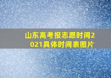 山东高考报志愿时间2021具体时间表图片