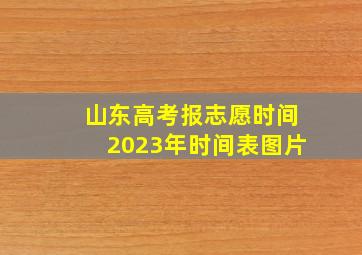 山东高考报志愿时间2023年时间表图片