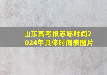 山东高考报志愿时间2024年具体时间表图片