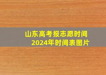 山东高考报志愿时间2024年时间表图片