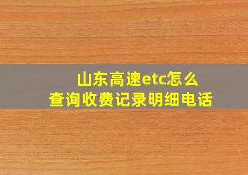 山东高速etc怎么查询收费记录明细电话