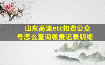 山东高速etc扣费公众号怎么查询缴费记录明细