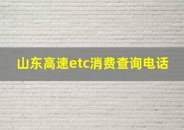 山东高速etc消费查询电话