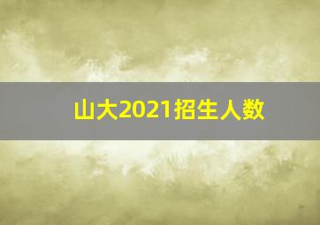 山大2021招生人数