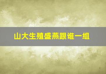 山大生殖盛燕跟谁一组