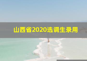 山西省2020选调生录用