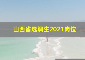 山西省选调生2021岗位