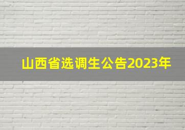 山西省选调生公告2023年