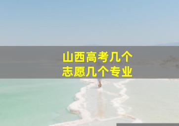 山西高考几个志愿几个专业