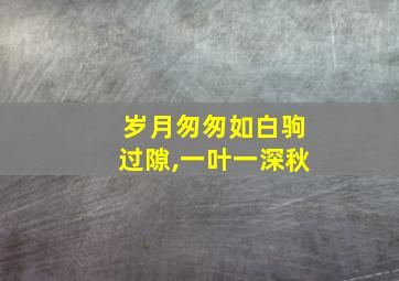 岁月匆匆如白驹过隙,一叶一深秋