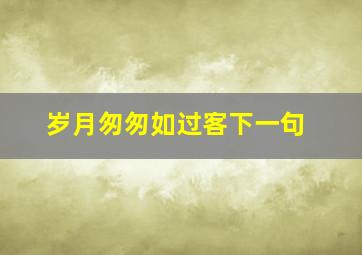 岁月匆匆如过客下一句