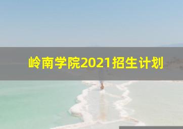 岭南学院2021招生计划