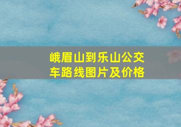 峨眉山到乐山公交车路线图片及价格