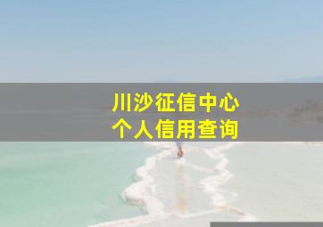 川沙征信中心个人信用查询