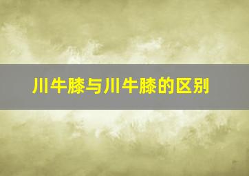 川牛膝与川牛膝的区别