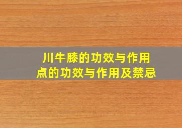 川牛膝的功效与作用点的功效与作用及禁忌