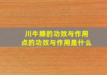 川牛膝的功效与作用点的功效与作用是什么