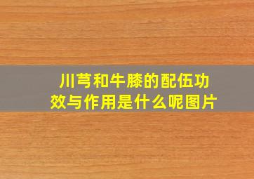 川芎和牛膝的配伍功效与作用是什么呢图片