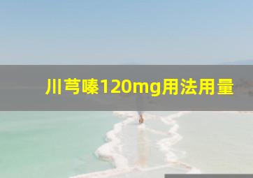 川芎嗪120mg用法用量