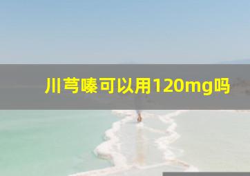 川芎嗪可以用120mg吗