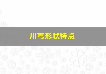 川芎形状特点