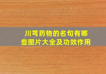 川芎药物的名句有哪些图片大全及功效作用