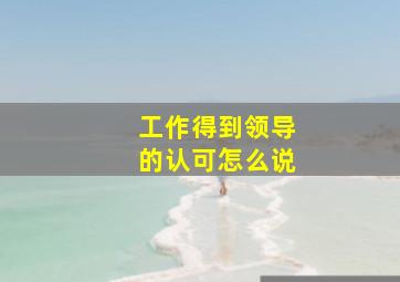 工作得到领导的认可怎么说