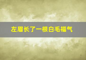 左眉长了一根白毛福气