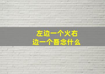 左边一个火右边一个吾念什么