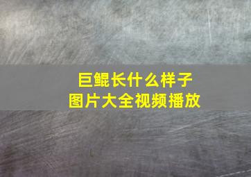 巨鲲长什么样子图片大全视频播放