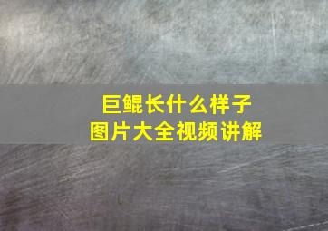 巨鲲长什么样子图片大全视频讲解