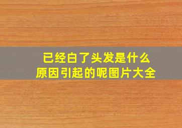 已经白了头发是什么原因引起的呢图片大全