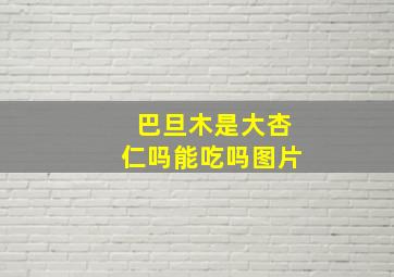 巴旦木是大杏仁吗能吃吗图片