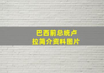 巴西前总统卢拉简介资料图片