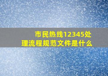 市民热线12345处理流程规范文件是什么