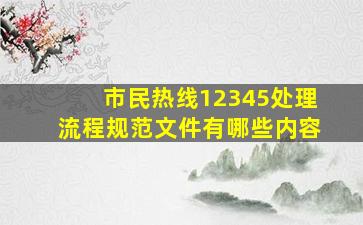 市民热线12345处理流程规范文件有哪些内容