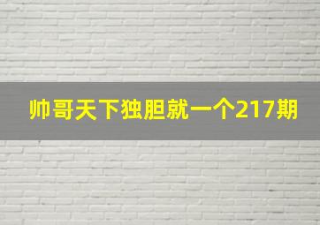 帅哥天下独胆就一个217期