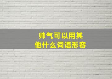 帅气可以用其他什么词语形容