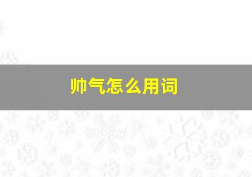 帅气怎么用词