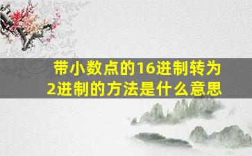 带小数点的16进制转为2进制的方法是什么意思